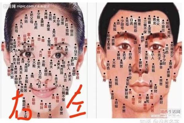 面相揭秘：克儿子的神秘魅力