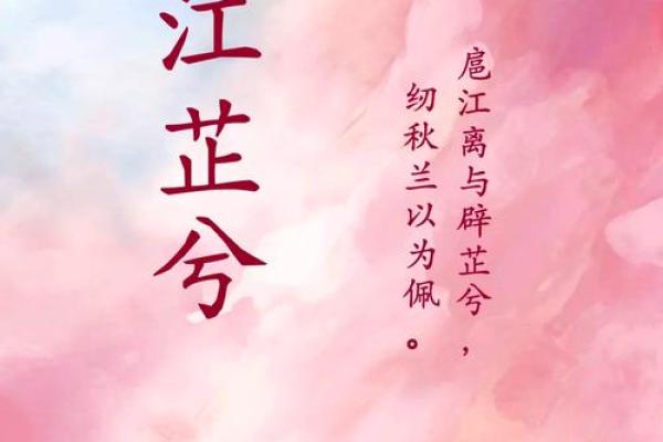 独特韵味：蔓茹名字的文化内涵探析