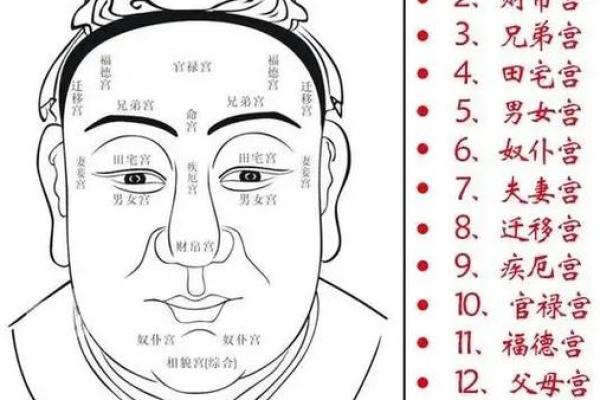 下巴如玉：面相中的富贵象征