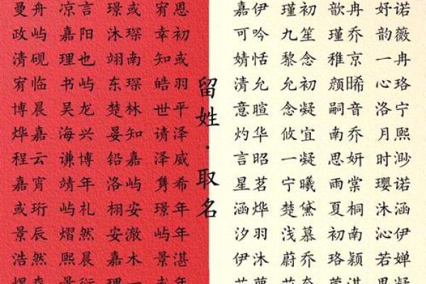 琳琅满目：姓名中的文化瑰宿
