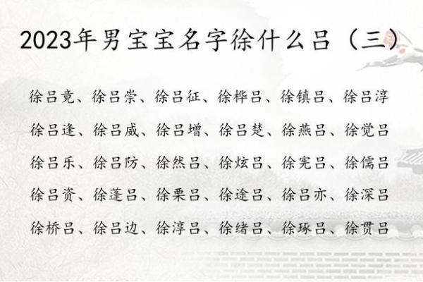 如何根据徐姓五行调整生活方向