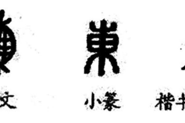 东字五行分析与解读
