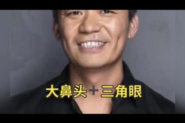 高鼻梁面相解析：揭秘成功与魅力的秘密面相特征