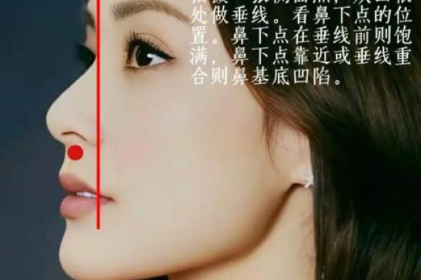 高鼻梁面相解析：揭秘成功与魅力的秘密面相特征