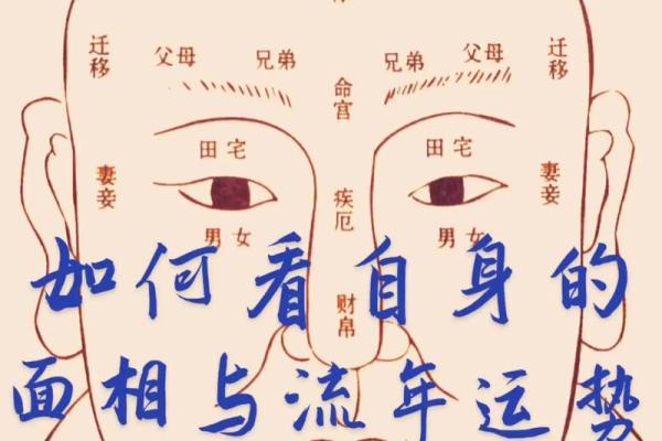 鼻尖长面相的神秘魅力