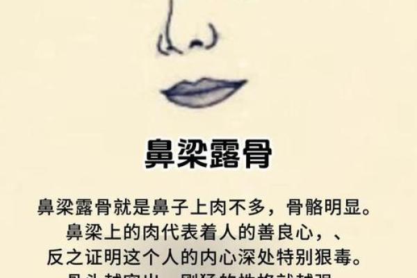 红鼻头男子：面相中的旺夫旺财吉祥象