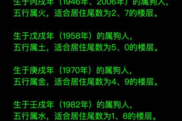 狗年旺运！揭秘属狗办公室风水布局秘籍