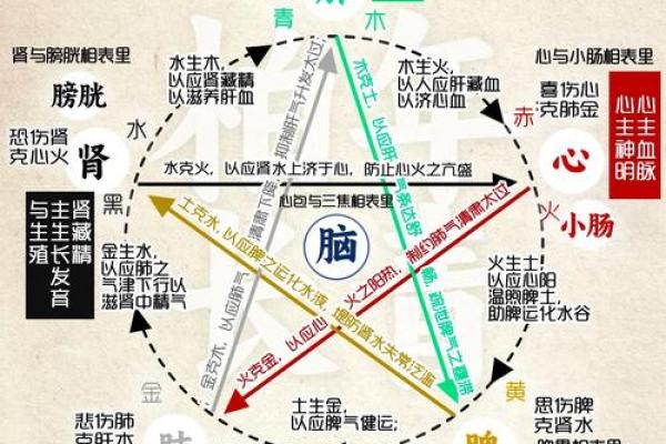 健五行身理论行业在的五健行身行业之谜中的
