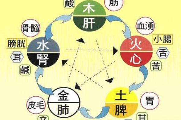 五行金木水火土与我们日常生活的关系