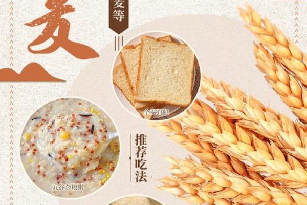粮名巧思：从粮行文化中汲取灵感，打造独特姓名艺朿