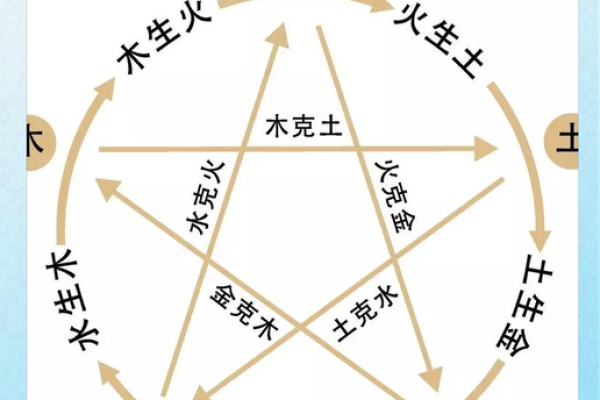 探究五行特点与人生运势