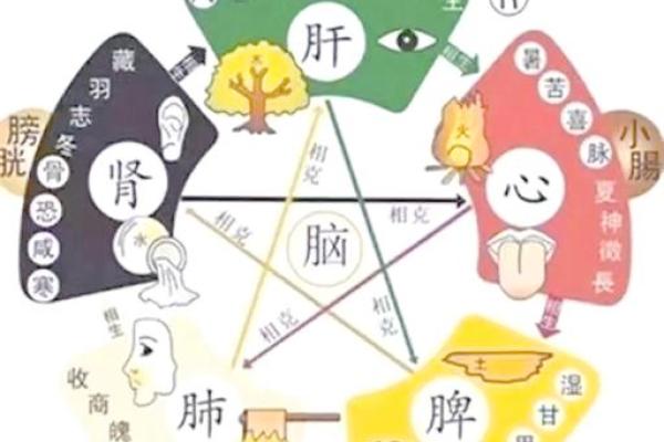 探究五行特点与人生运势