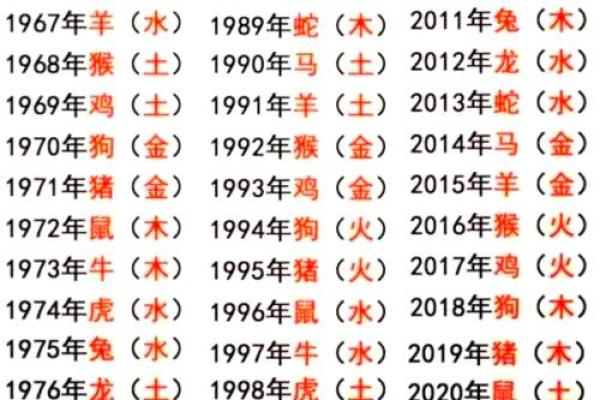 肖五行属什么的揭秘