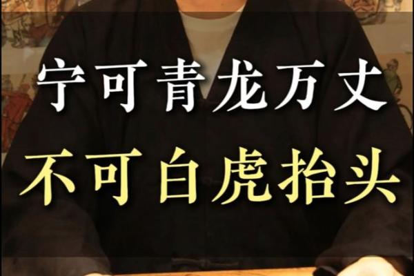 办公室风水秘籍：如何招来青龙助力事业腾飞