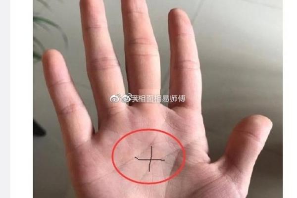 横丝肉面：解析面相中的神秘力量
