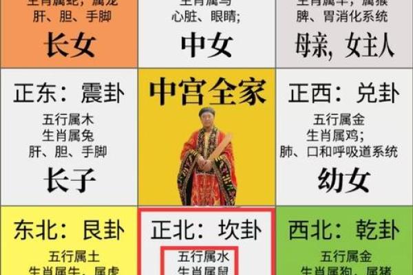 生肖风水秘籍：打造办公室旺运格局的神奇秘法