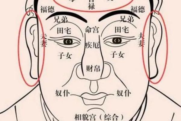 面相解析：揭秘治疗面相女性的独特魅力