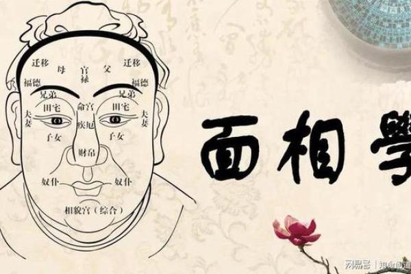 面相揭秘：无子特征的精准解读