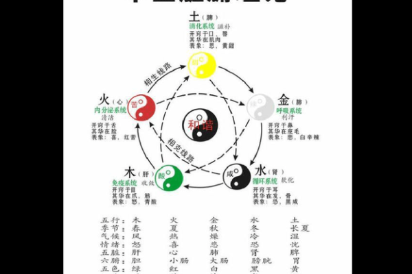 从八字看寿命的玄机与意义