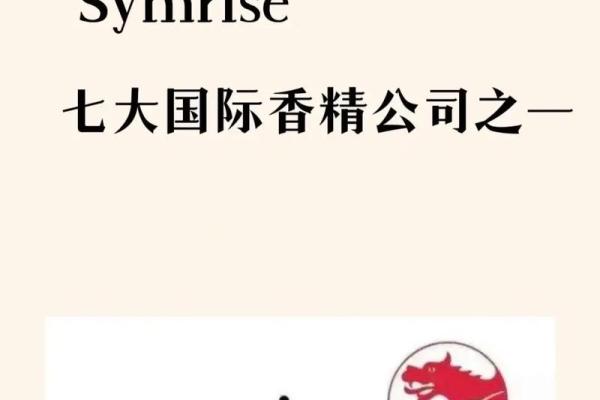 火焰之力 公司名字精选 热情与活力的象征