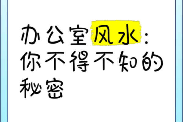 办公室风水秘籍：打造美丽空间，提升工作效率！