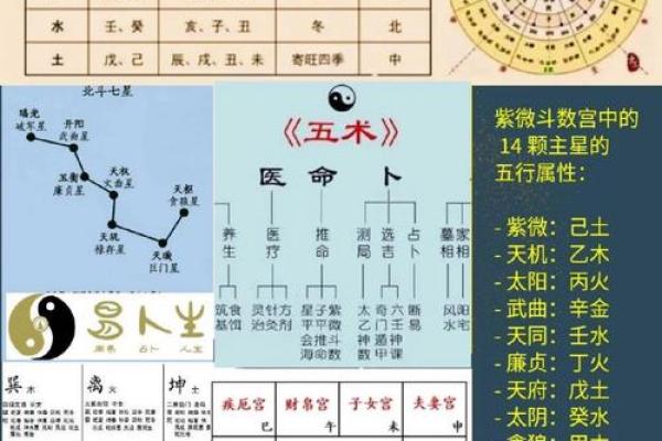 紫薇命理揭秘：运势大公开！