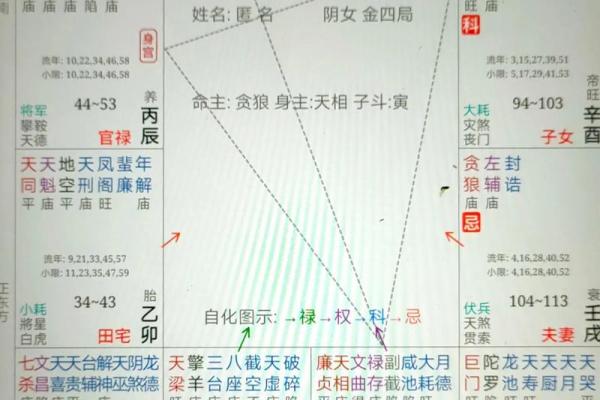 紫薇命理揭秘：运势大公开！