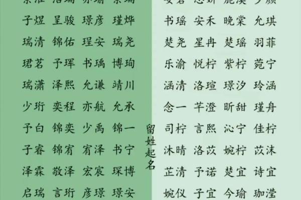 电脑辅助生辰八字起名，免费提供定制化建议