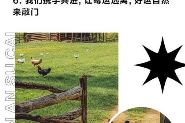 家居风水改造，让你瞬间告别霉运，迎来好运连连！