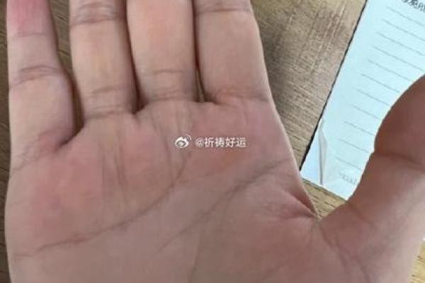 安徽手面相学秘籍：揭秘命运与运势