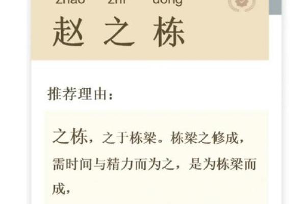 起名攻略：赵姓男孩名字创意，彰显个性魅势