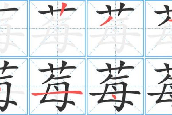 利用莓字为公司命名，打造清新独特的形象