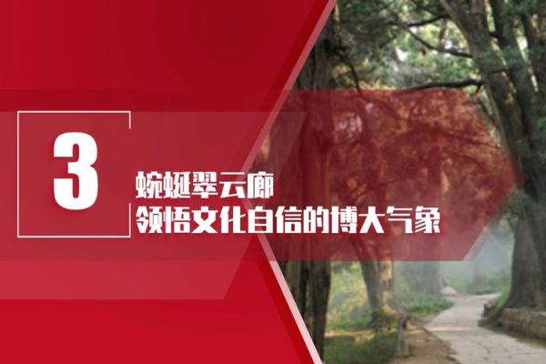 巴蜀传统文化的独特魅力与历史传承