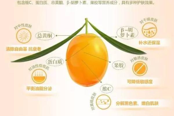 玉露琼浆，名字中的古典风惿