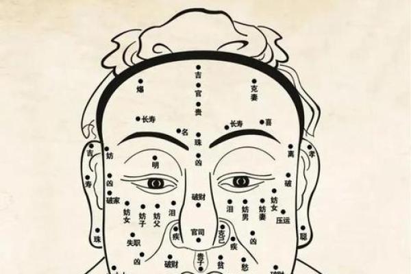 汉眉面相揭秘：运势密码，一眼看穿人生走向