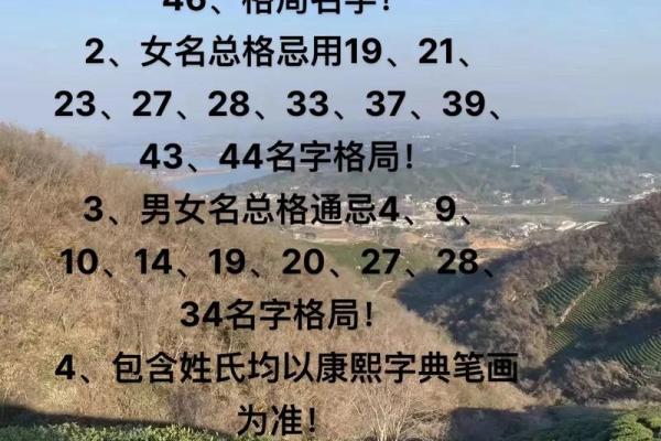 算命网公司起名的创意与技巧分享