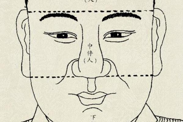 面相解码：揭秘厉害人的独特魅力
