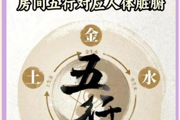 加五行对风水的影响和应用