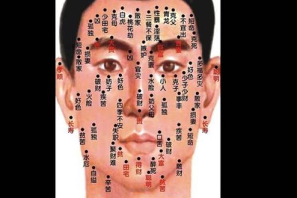 痦子男面相图解：揭秘面相中的独特魅力与运势