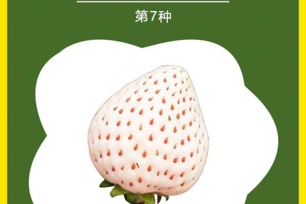 莓字启示：如何用莓字为公司取个独特名字