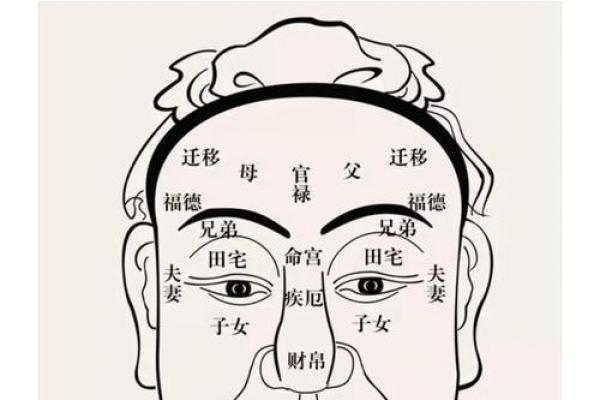 颌骨肉多面相：富贵之相的神秘解读
