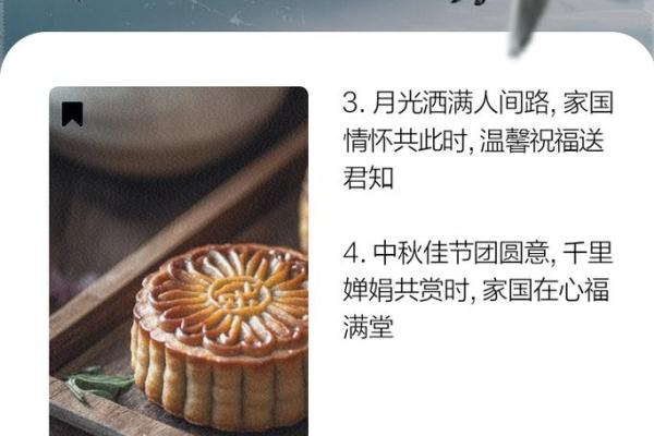 中秋赏月，家国情怀共此时