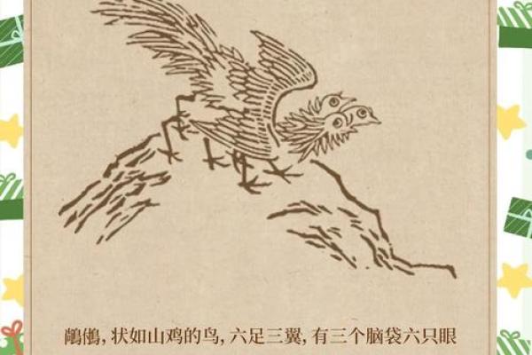 名字寻踪：山海经里的奇异人名与传诿