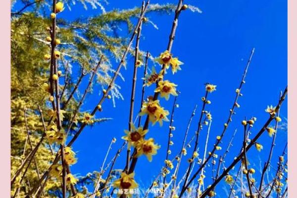 春意盎然，3月节日狂欢来袭