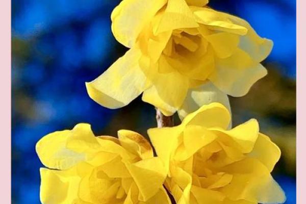 春意盎然，3月节日狂欢来袭