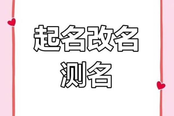 专业起名改名公司电话，提供精准命名与改名咨询