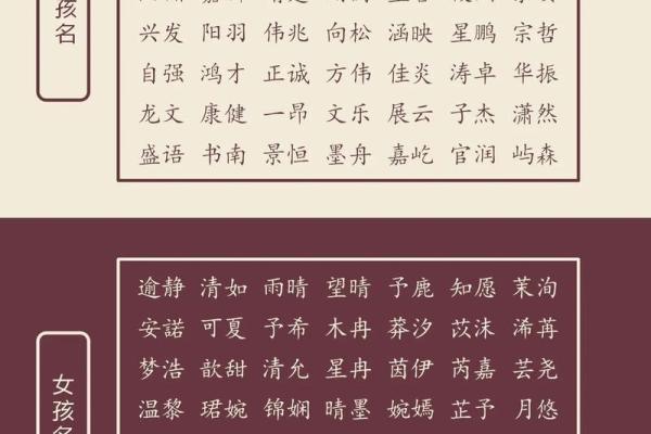 专业起名改名公司电话，提供精准命名与改名咨询