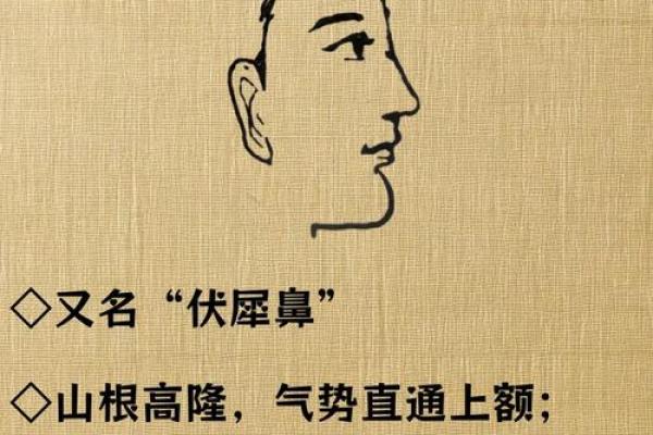 女性圆脸面相：福相满满，财运亨通的秘密