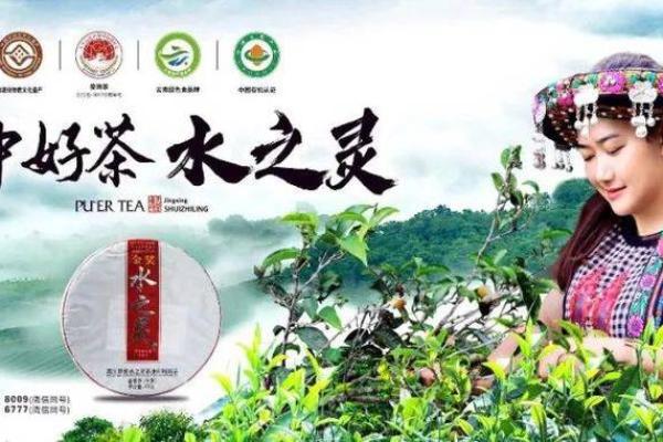 创意十足的普洱茶公司命名灵感大全