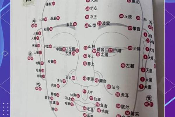 面相解码：运势的神秘面纱